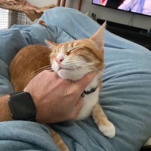 Meet your Posher, Eric